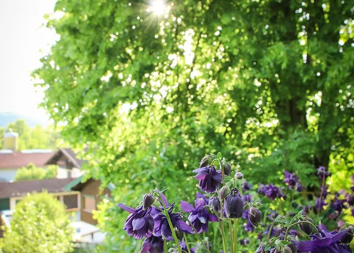 Haeuslmaiers Urlaubswohnung * Siegsdorf